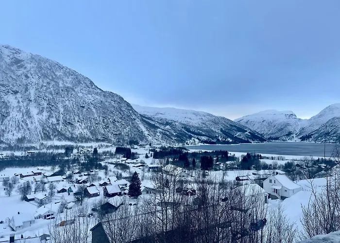 The View