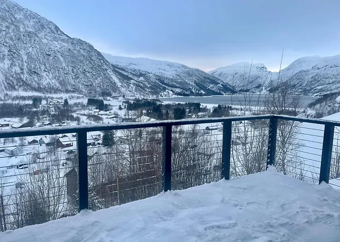 The View